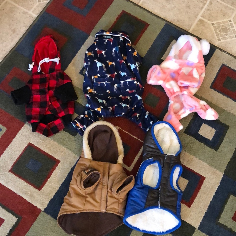 Lot of puppie clothes